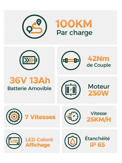 Vélo Électrique ENGWE MileCity 1