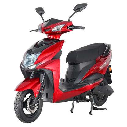 Citycoco SL – Scooter Électrique 1000W–2000W