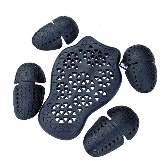 Protection dorsale moto CE Niveau 2 – ALPINES FOX LAS