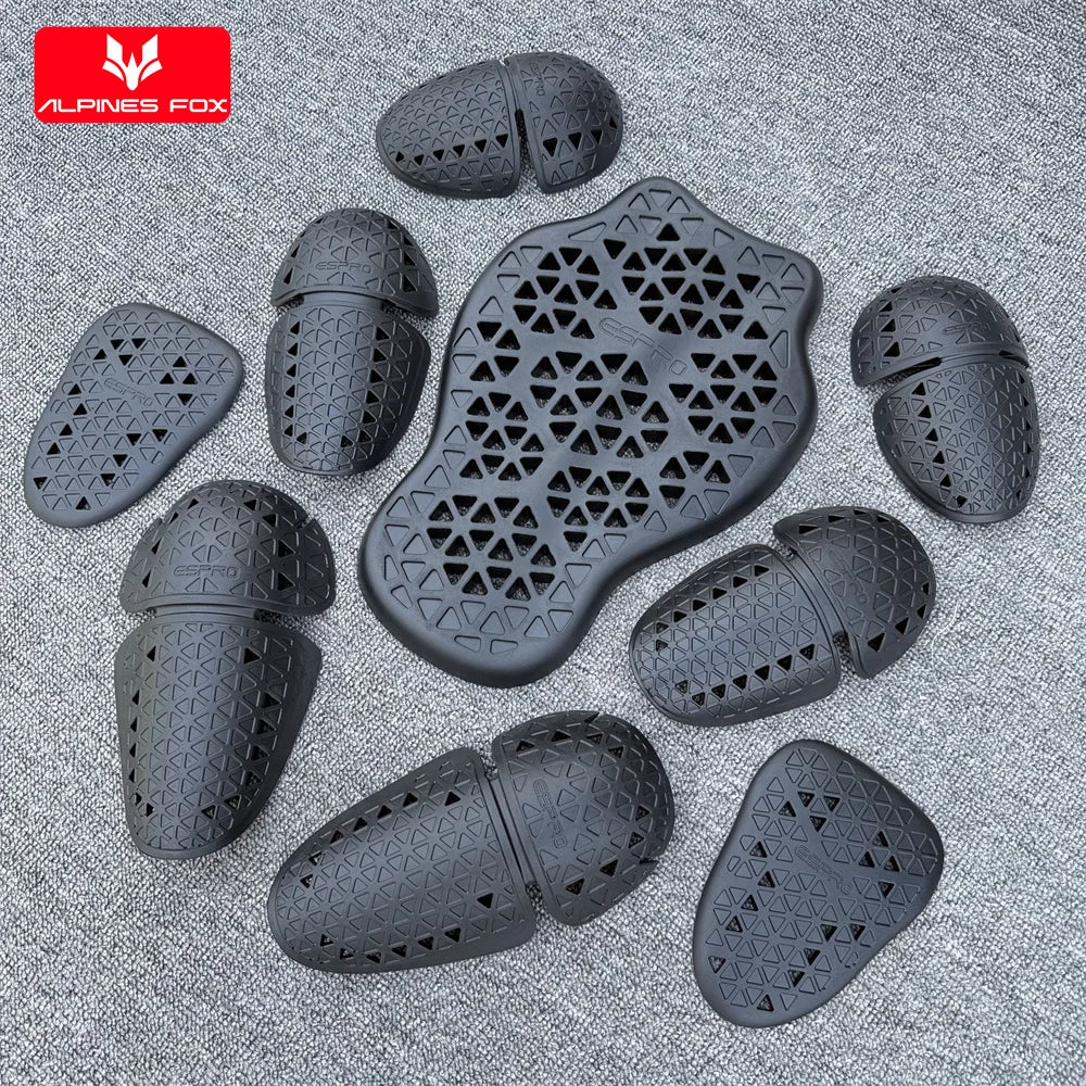 Protection dorsale moto CE Niveau 2 – ALPINES FOX LAS
