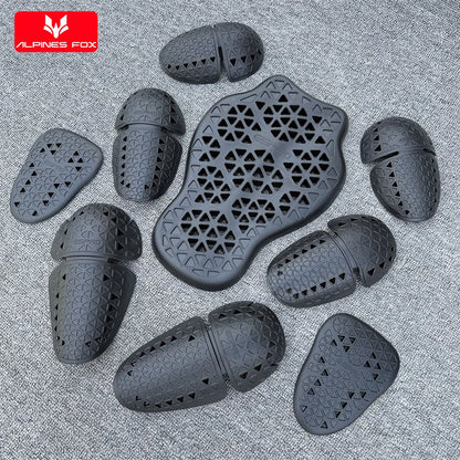 Protection dorsale moto CE Niveau 2 – ALPINES FOX LAS