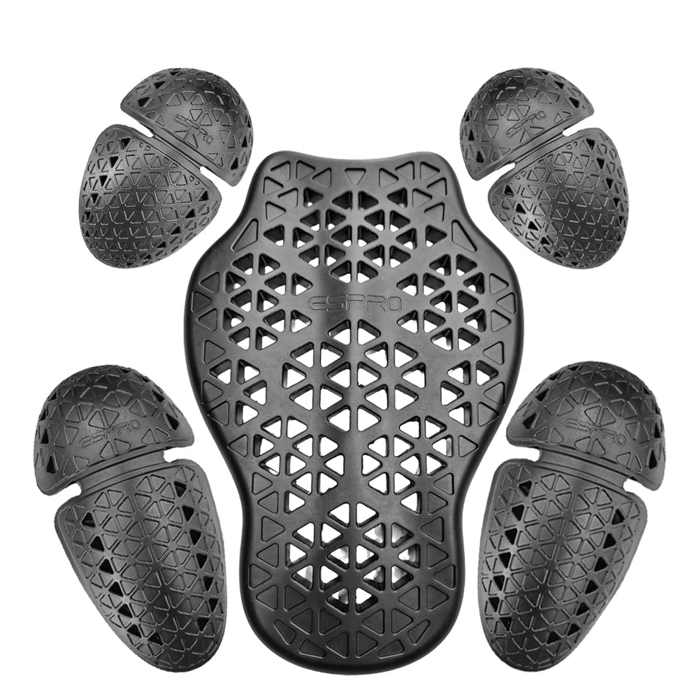 Protection dorsale moto CE Niveau 2 – ALPINES FOX LAS